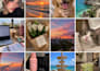 create stunning ai generated images for your brand